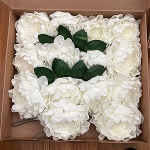 Ling’s Moment Blooming Peonies